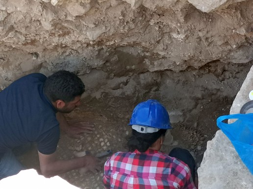 Fig. 1. Trench T2-S. Working on mosaic protection, 2023 (image by Mariusz Burdajewicz).