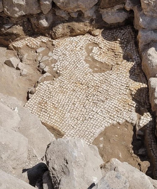 Fig. 4. The mosaic after the application of mortar bands and cleaning, before reburial, 2024 (image by Julia Burdajewicz).