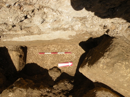 Fig. 5. Fragment of a mosaic floor in Trench 5, 2024 season (image by Mariusz Burdajewicz).