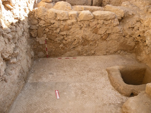 Fig. 7. Trench 5: the mosaic floor in the olive oil press room, 2025 (image by Mariusz Burdajewicz).