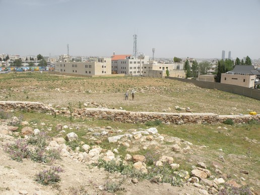 Fig. 30. Resistivity survey. View from the South (image by Mariusz Burdajewicz).