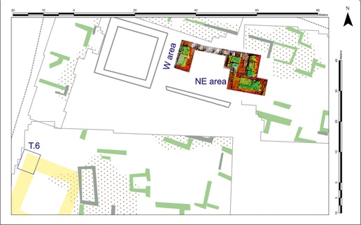 Fig. 1. Situation of the trenches 2025 (image by Robert Ryndziewicz and Anna Kubicka-Sowińska).