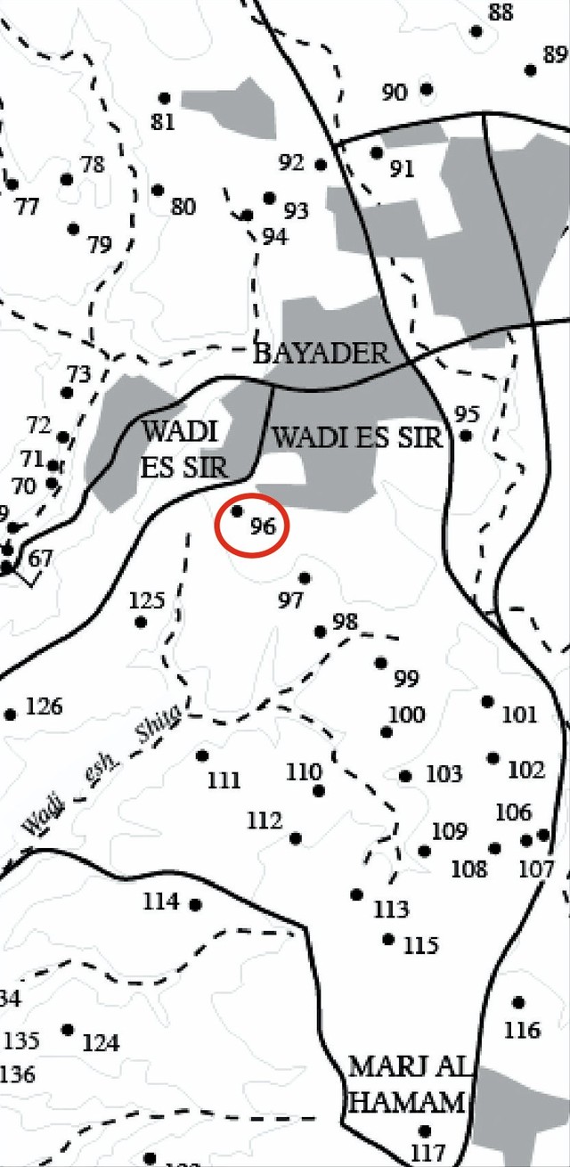 Fig. 2. Sara location map, 1983 (M.-A. Meyer). Numbers = archaeological sites (96 = Sara). Grey = 1983 inhabited areas. Black lines = modern roads. Dashed lines = wadis (after F. Villeneuve 2020, 310, Fig. 1)