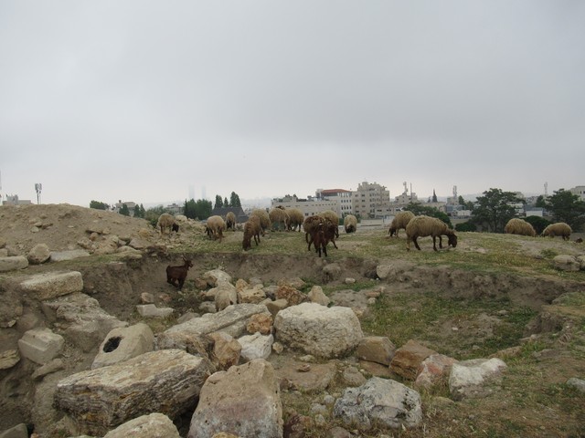 2024 excavations photo 4