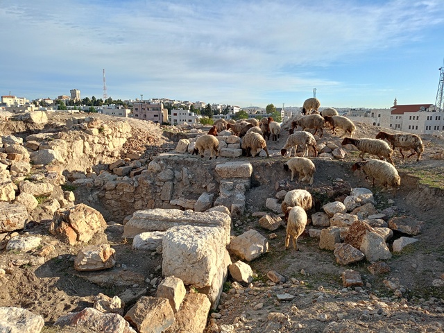 2025 excavations photo 10